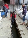 排水溝泥作工程 (9)